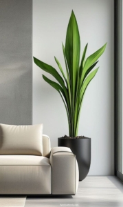 سبک مینیمالیسم